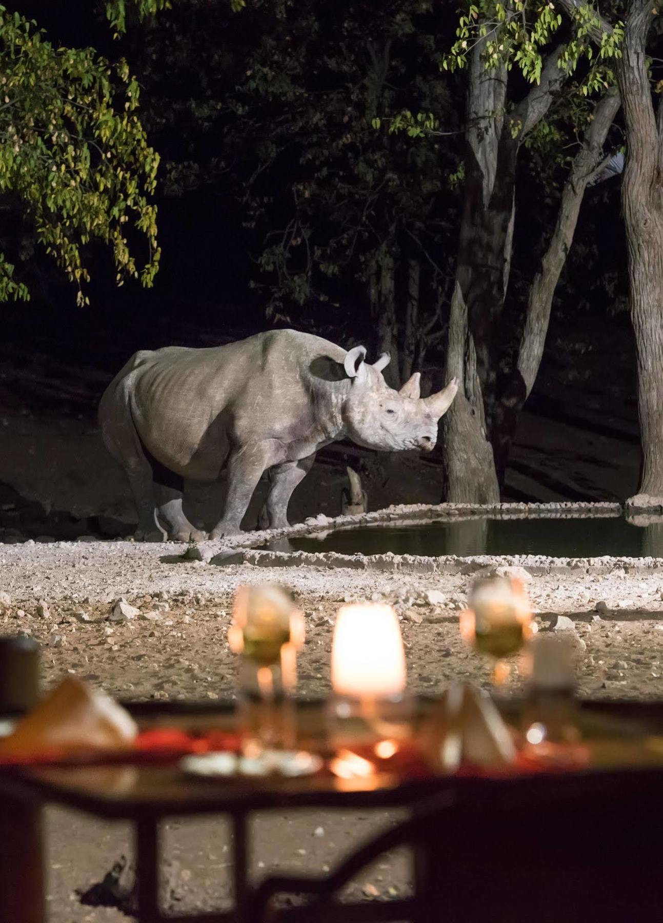 Ongava Tented Camp - All-Inclusive Окаукуэджо Экстерьер фото