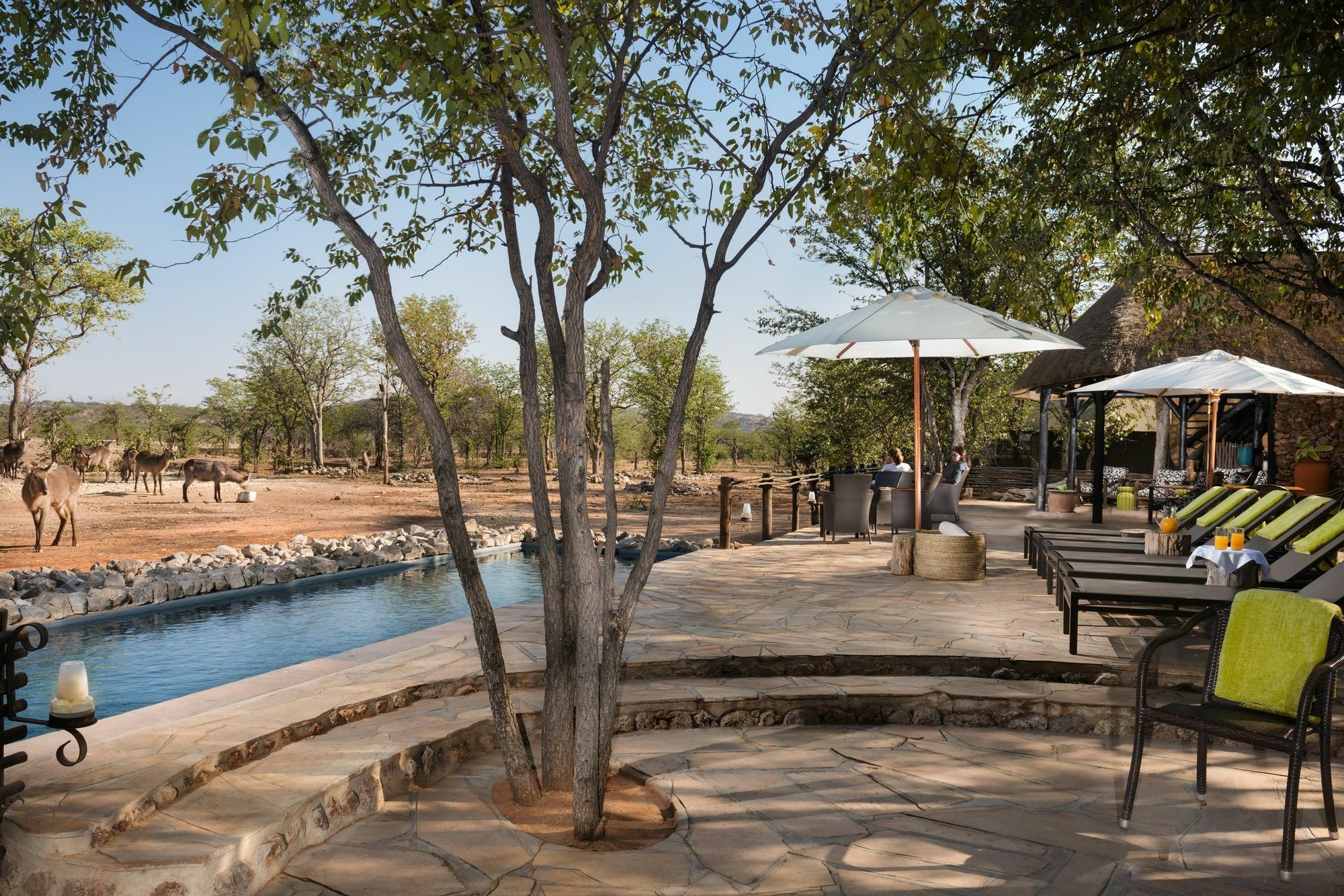 Ongava Tented Camp - All-Inclusive Окаукуэджо Экстерьер фото